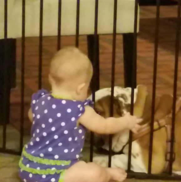 Meet your Posher, Lisa - Picture 2 of 3